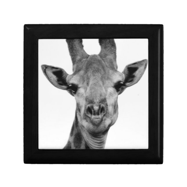 Black and White Giraffe Photograph Gift Box (Front)