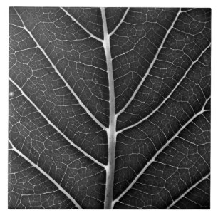 Black and White Glowing Leaf Close-Up Ceramic Tile