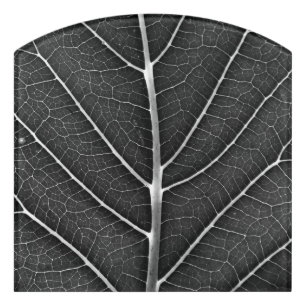 Black and White Glowing Leaf Close-Up Door Sign