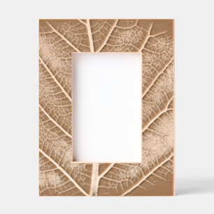 Black and white glowing leaf close-up engraved frames