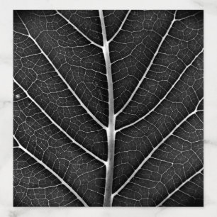 Black and white glowing leaf close-up envelope liner