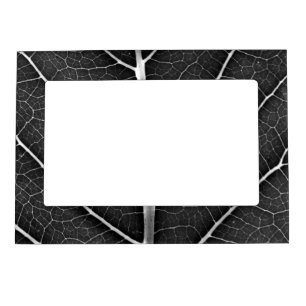 Black and white glowing leaf close-up magnetic frame