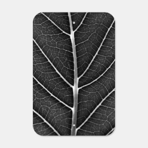 Black and White Glowing Leaf Close-Up Metal Sign