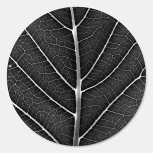 Black and White Glowing Leaf Close-Up Sign