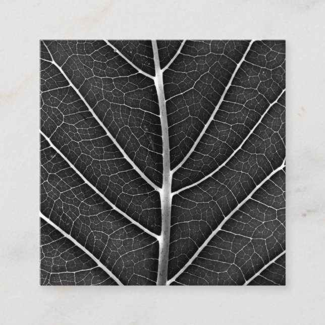 Black and white glowing leaf close-up square business card (Front)