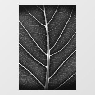 Black and white glowing leaf close-up window cling
