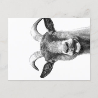 Black and White Goat _Funny Goat Canvas| Holiday Postcard
