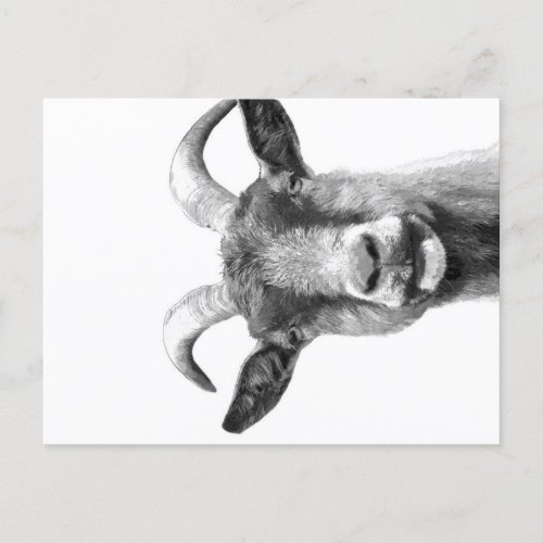 Black and White Goat _Funny Goat Canvas Holiday Postcard