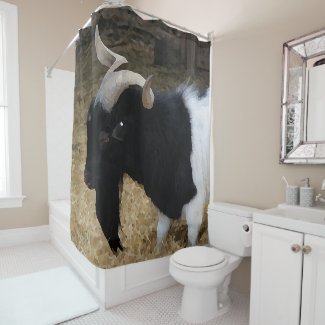 black and white goat - painting shower curtain