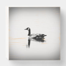Black and White Goose