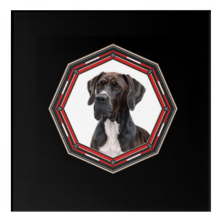 Black And White Great Dane In A Red Frame Acrylic Print