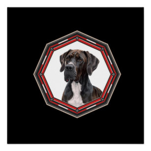 Black And White Great Dane In A Red Frame Poster
