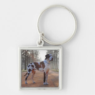 Black and White Great Dane Keychain