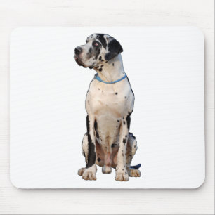 Black and white Great Dane Mouse Pad