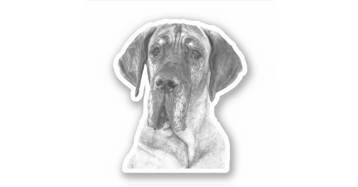 Black and White Great Dane Sticker Zazzle