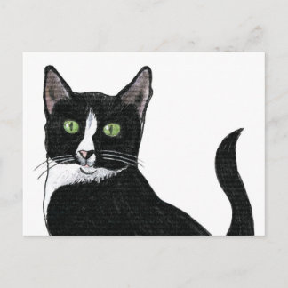Black and White Green Eyed Cat Postcard