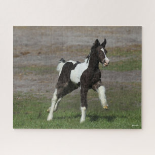 Black and White Gypsy Vanner Foal Running Jigsaw Puzzle