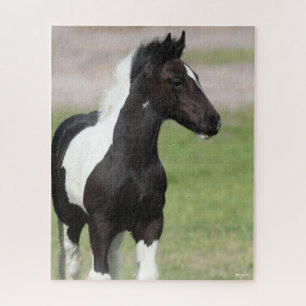 Black and White Gypsy Vanner Foal Standing Jigsaw Puzzle