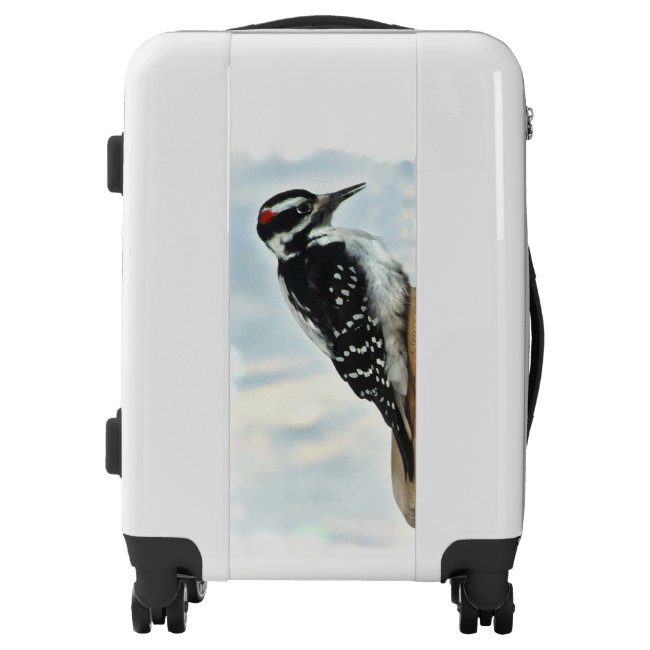 Black and White Hairy Woodpecker Bird Luggage