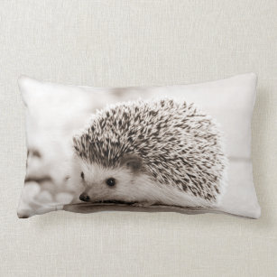 hedge hog pillow