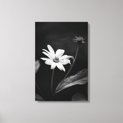 Black and White Heliopsis False Sunflower Dramatic Canvas Print