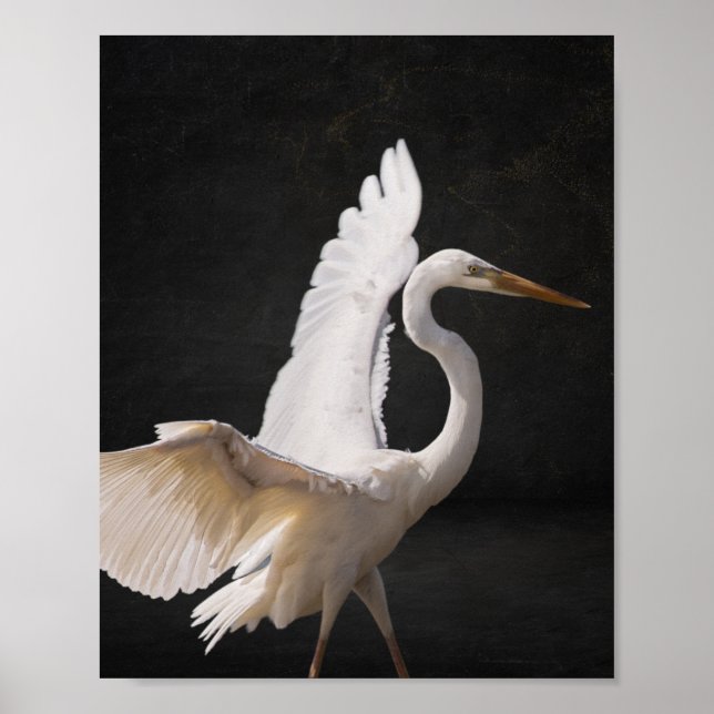 Black and White Heron Tropical Printable Art  Poster (Front)