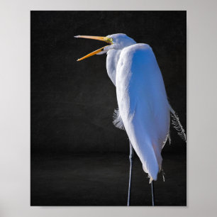 Black and White Heron Tropical Printable Art Poster