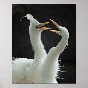 Black and White Heron Tropical Printable Art  Poster