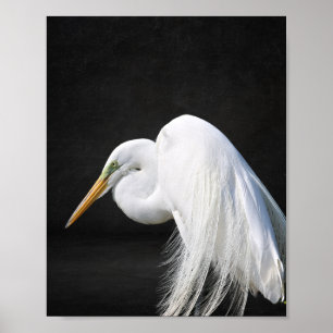 Black and White Heron Tropical Printable Art  Poster
