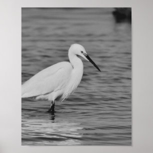 Black and White Heron Tropical Printable Art  Poster