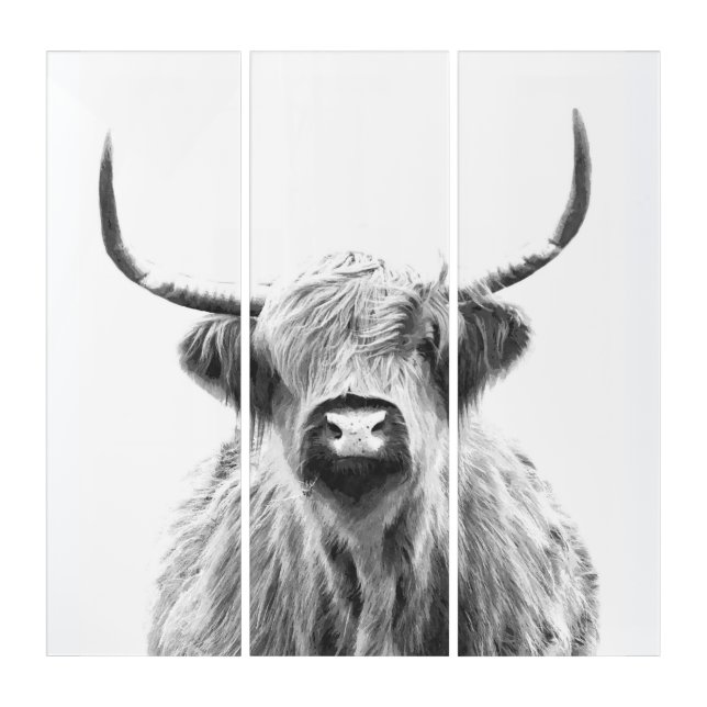 Black and white highland cow animal portrait triptych (Front)