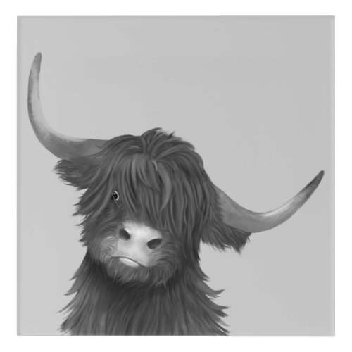 Black and White Highland Cow Illustration  Acrylic Print