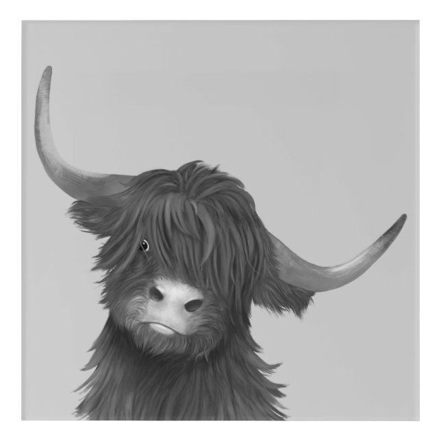 Black and White Highland Cow Illustration  Acrylic Print (Front)