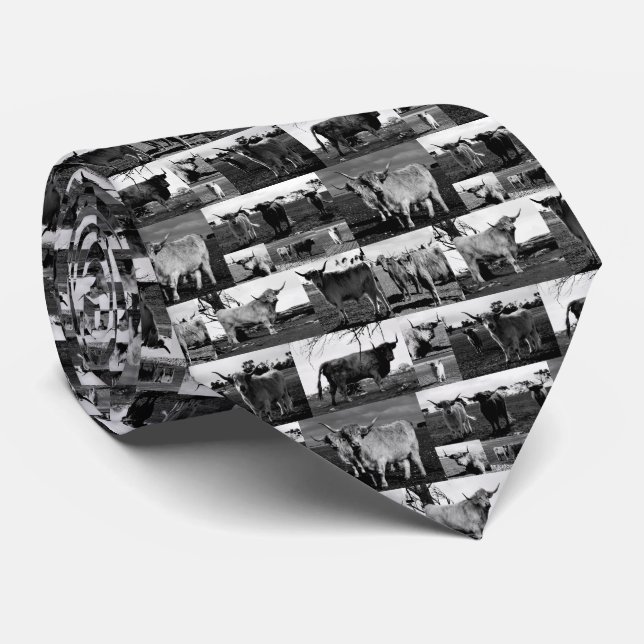 Black And White Highland Cow Photography Collarge, Neck Tie (Rolled)