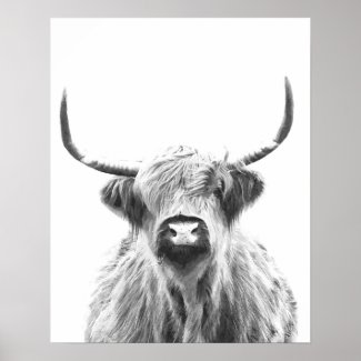 Black and White Highland Cow Poster