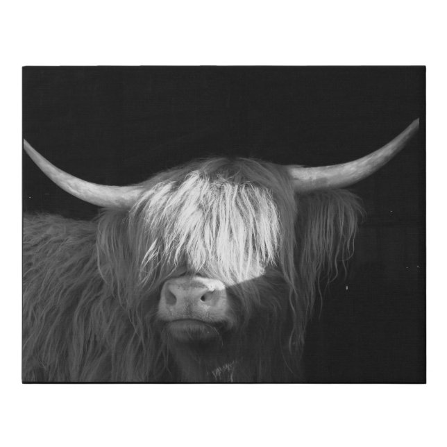 Black and White Highland Cow Wrapped Canvas Print (Front)