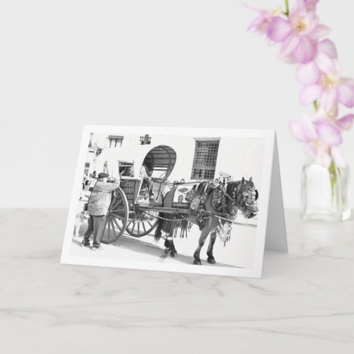 Black and White Horse and Vintage Cart Portrait Card