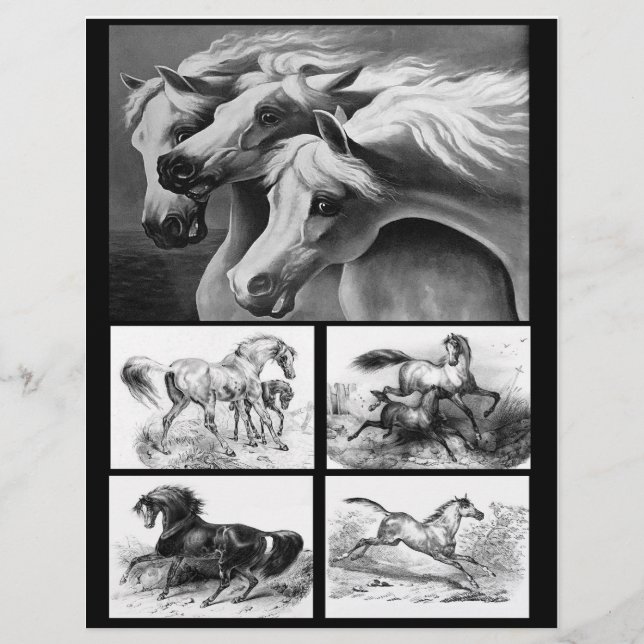 Black and White Horse Art for Paper Crafting  (Front)