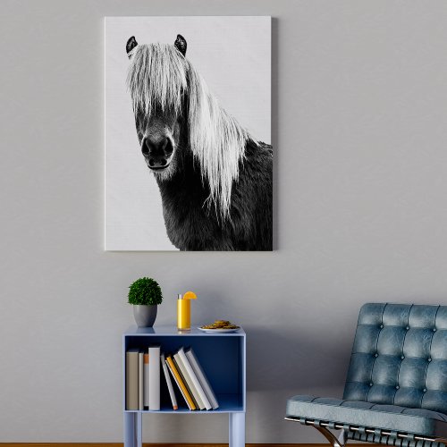 Black and White Horse Photography Canvas Print