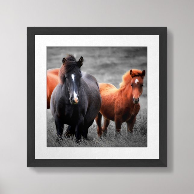 Black And White Horse Photography Framed Art (Framed Front)