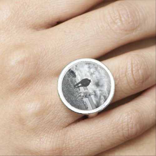 Black And White Horse Photography Ring