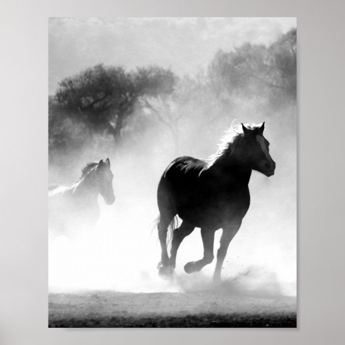 Black and White Horse Poster Print | Zazzle.com