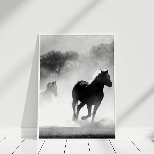 Black and White Horse Poster Print