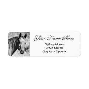 Black and White Horse Return Address Label