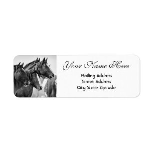 Horse Return Address Labels | Zazzle