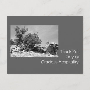 Black and White Hospitality Thank You Postcard