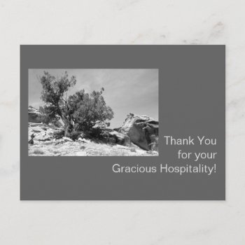 Black And White Hospitality Thank You Postcard by bluerabbit at Zazzle