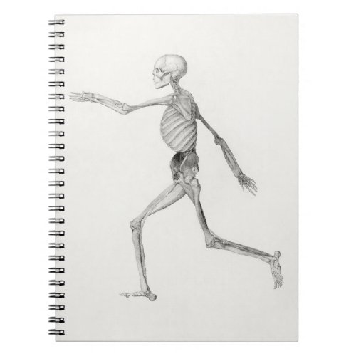 Black and White Human Walking Skeleton Notebook