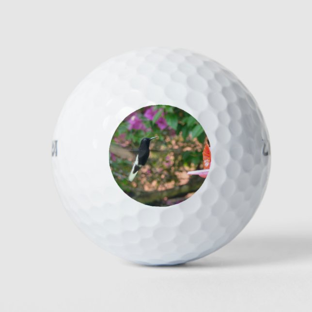 Black and White hummingbird flying at a feeder Golf Balls (Front)