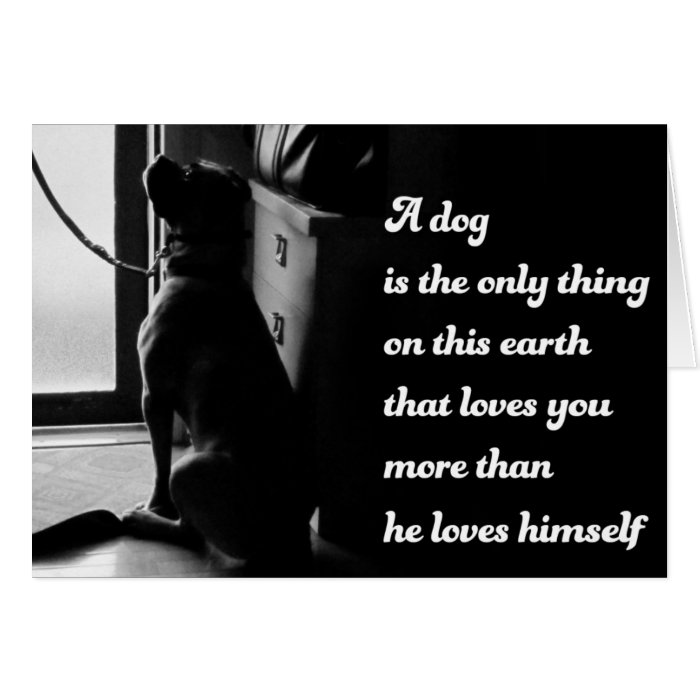 Black and White Inspirational Dog Photo Greeting Cards